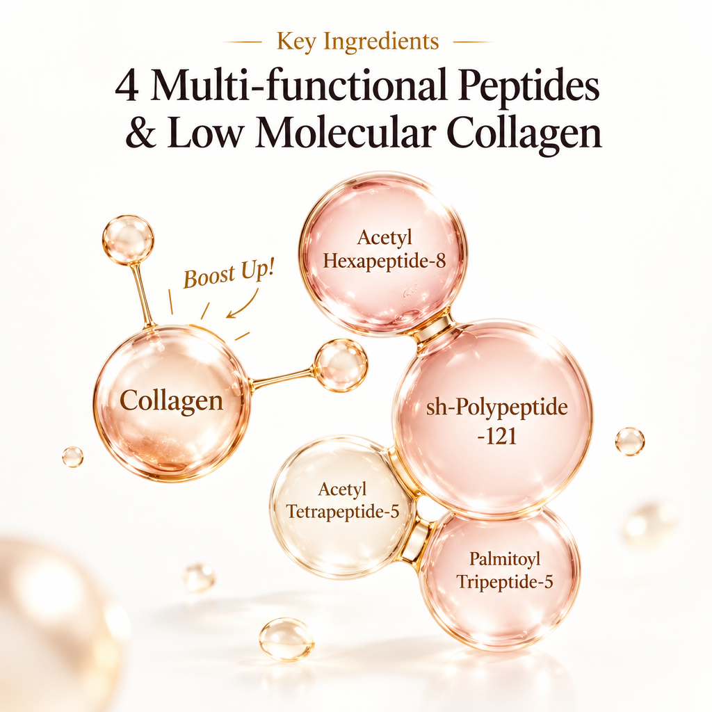 4 Multi-functional Peptides and Low Molecular Collagen key ingredients infographic